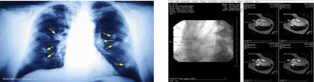 体育博彩公司排名